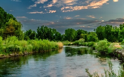 Harp Music With River Sounds