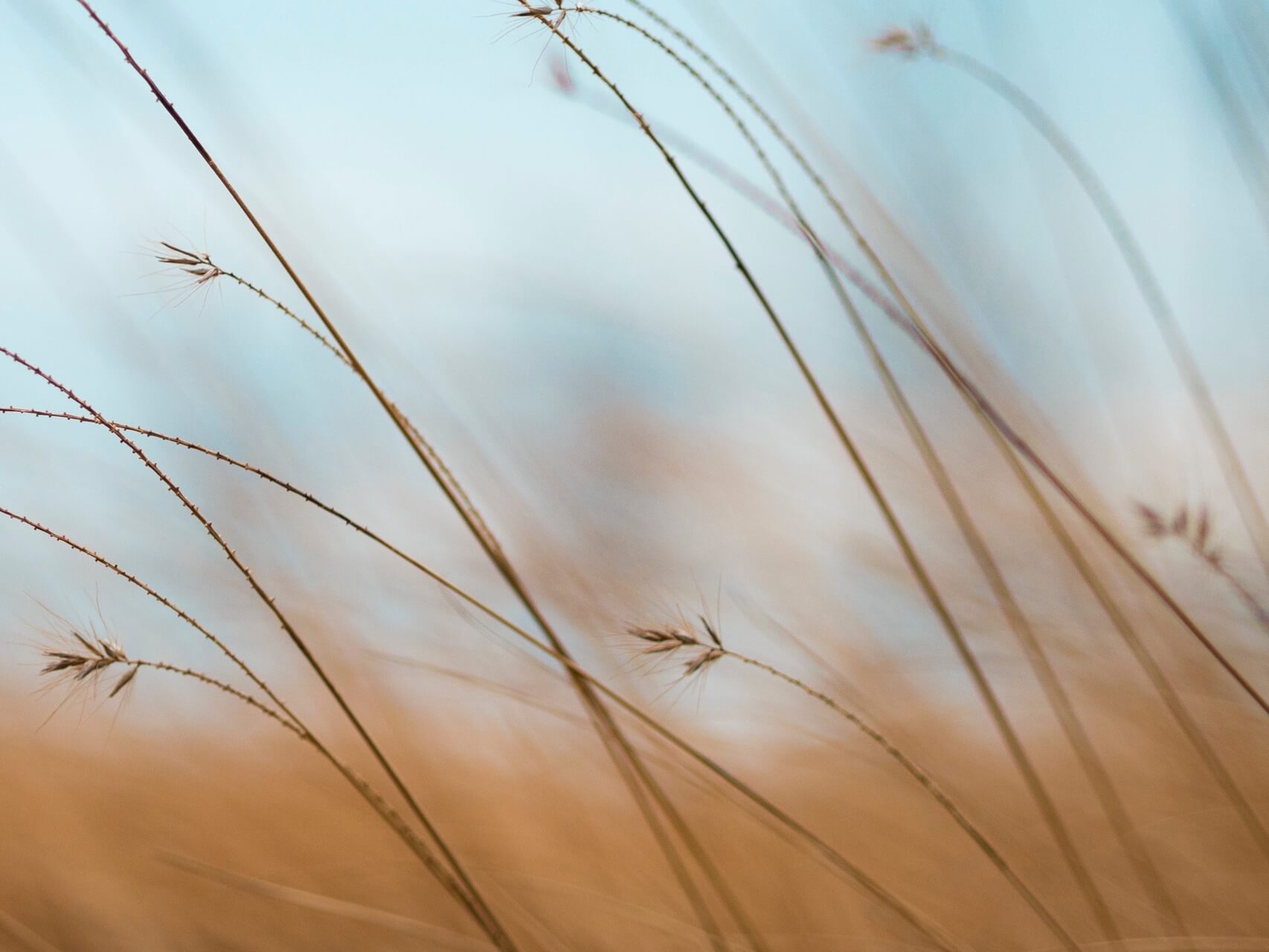 Prayer For Overwhelm