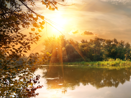 Cultivating Gratitude With Feeling