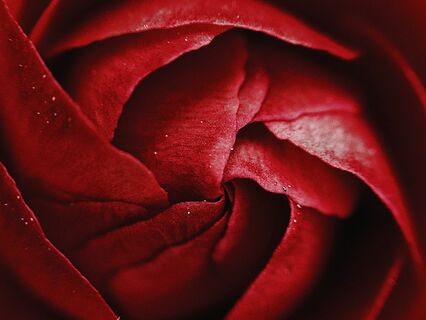 Power Of Your Menstrual Cycle & Creative Cycle: Part I