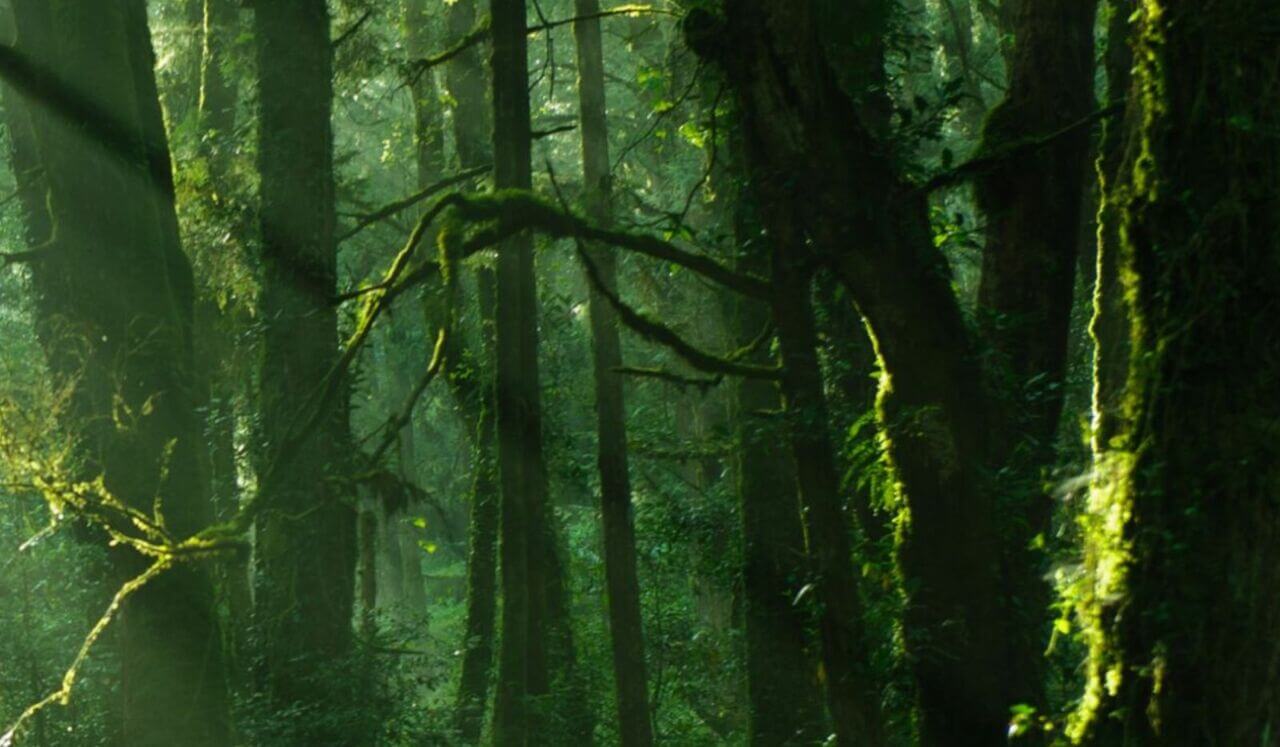 Self-Friendliness and Grounding For Inner Strength