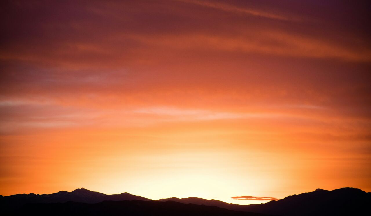 Nervous System Reset