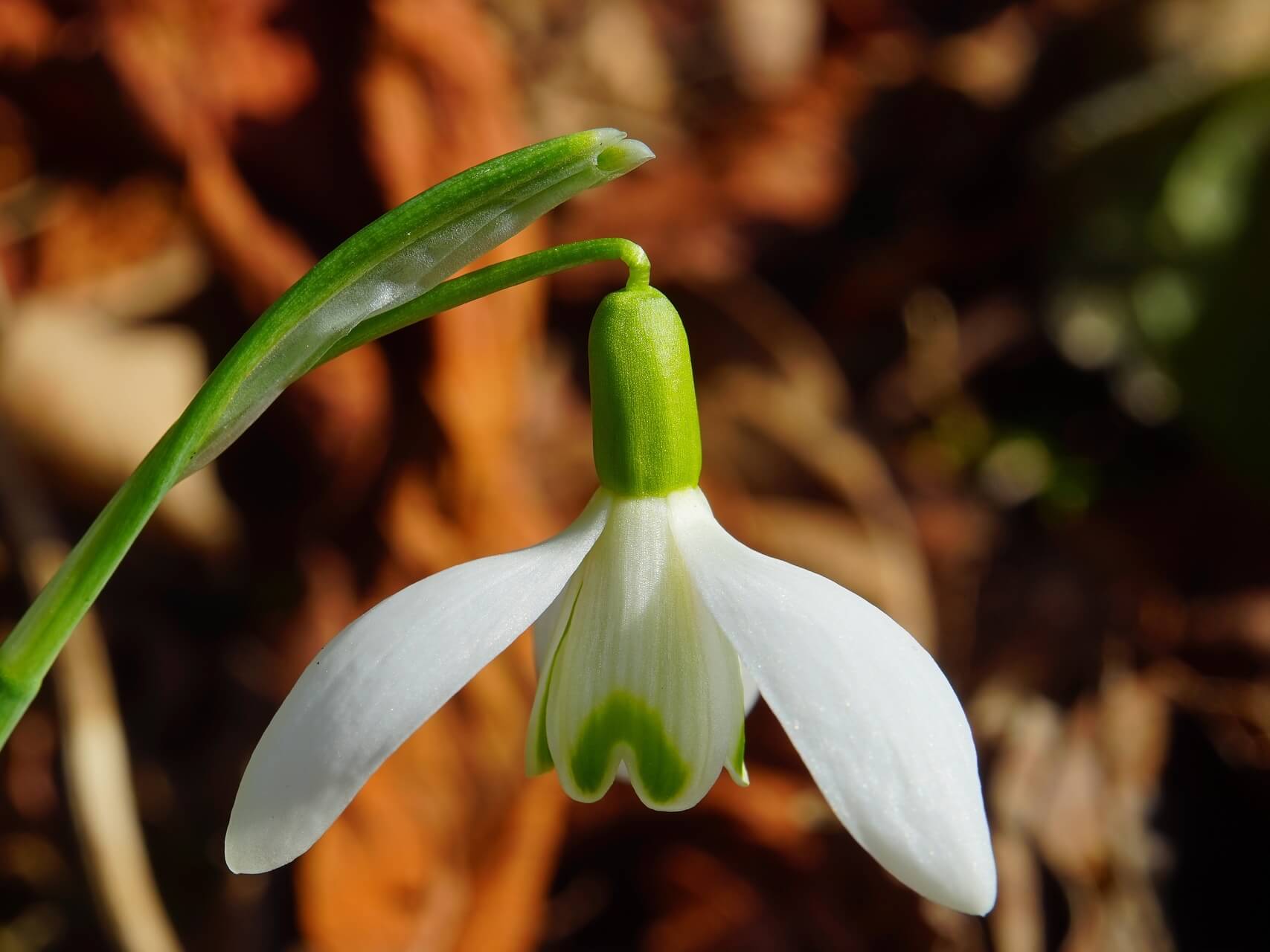 Self-Acceptance, Healing Meditation