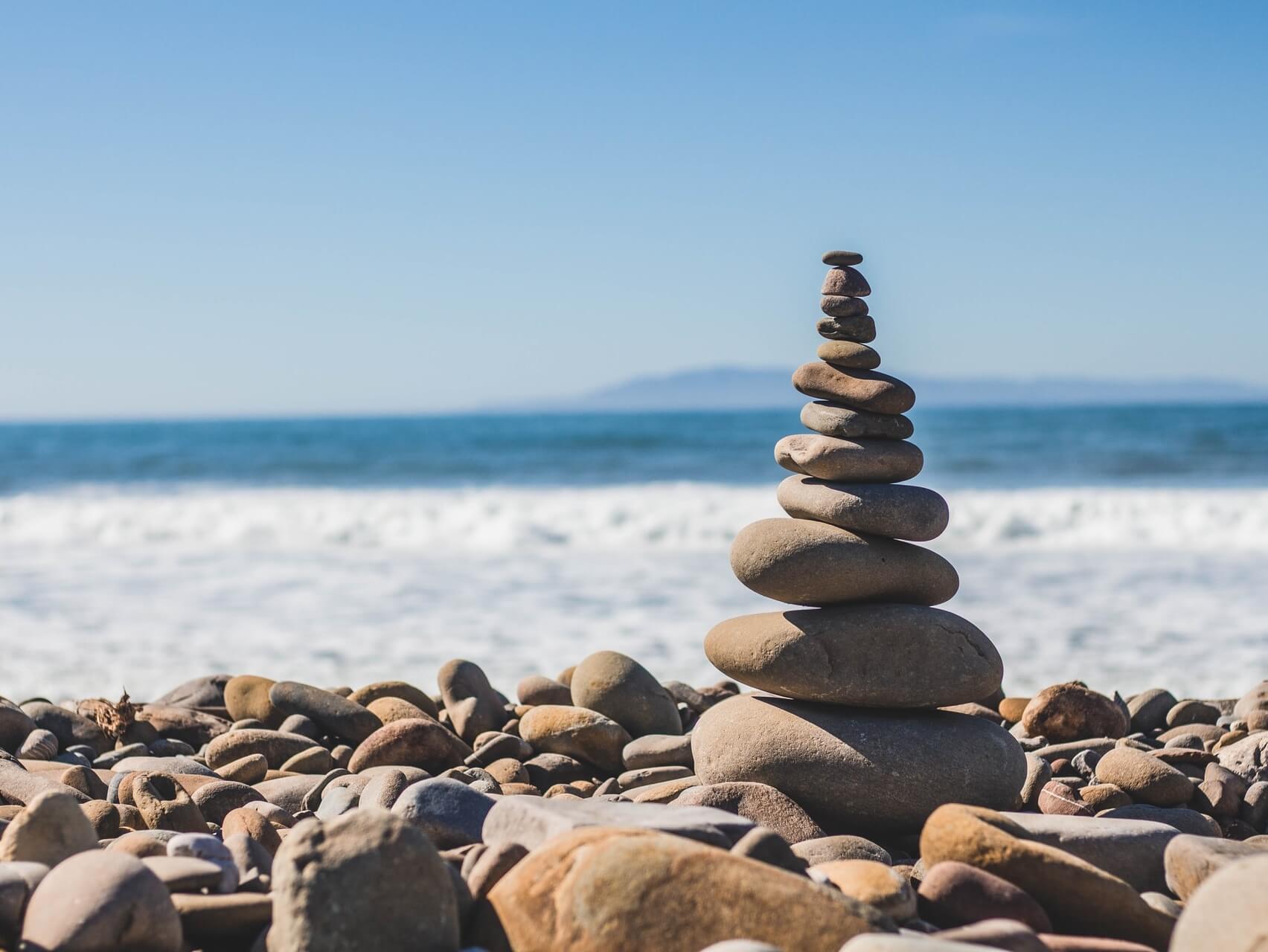 Animal Spirit Journey