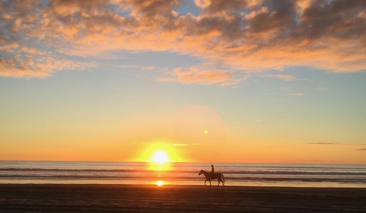 Cancer: Chemo Companion