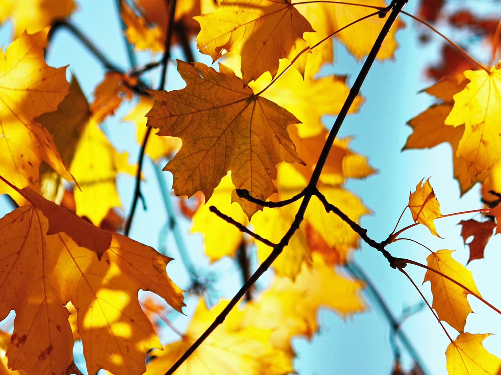Lâchez prise de l'inutile