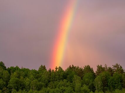 Clear Your Mind , Connect With Your Guardian Angel And Deepen Your Relationship - by Georgie G Deyn