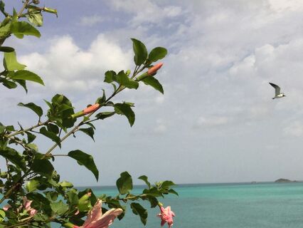 The Late Bloomer’s Path: Trusting The Timing Of Your Life - by Kiran Patel