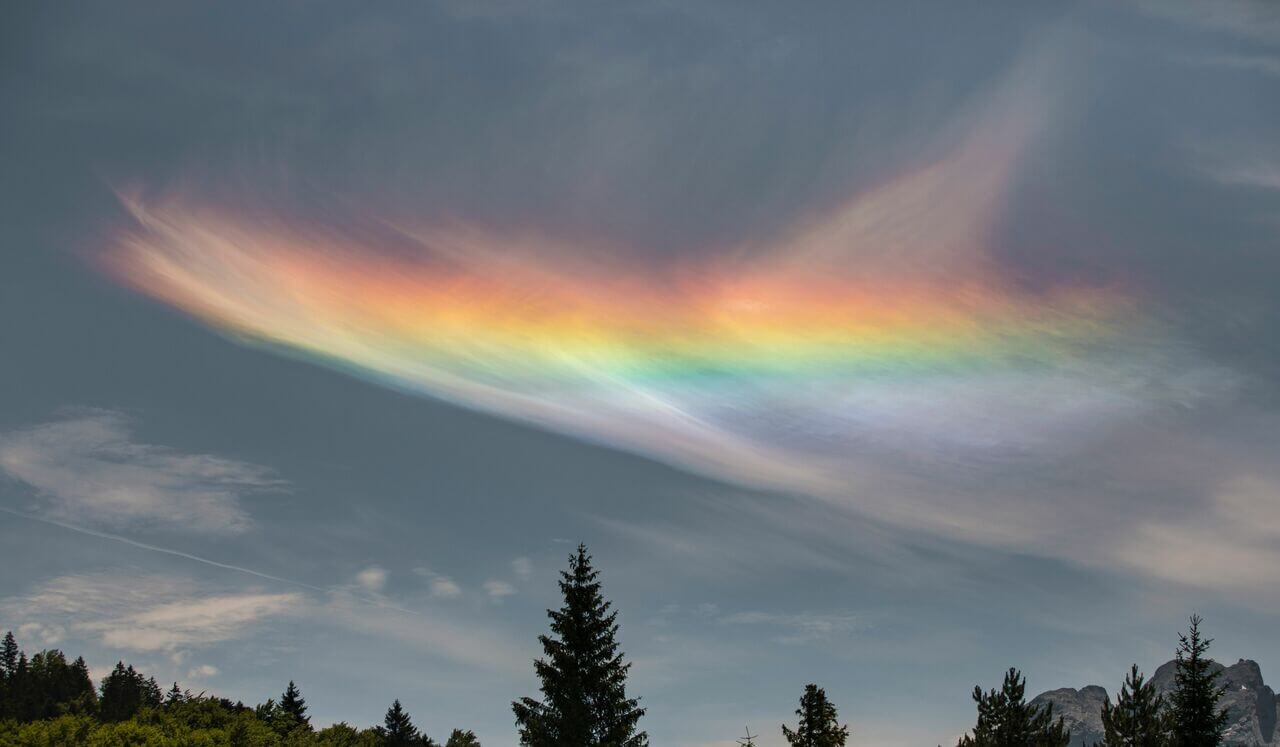 Receiving And Understanding Signs