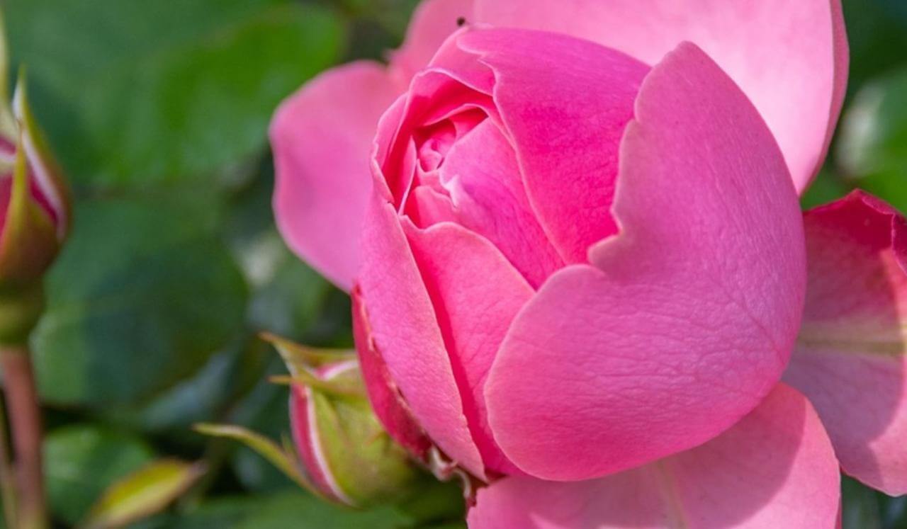 Open Your Guarded Heart