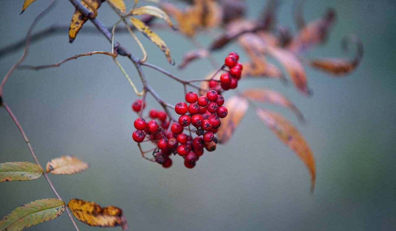 Divine Timing Tarot Reading For Good Health