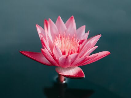 Discover Your Natural Confidence - by Caroline Inckle