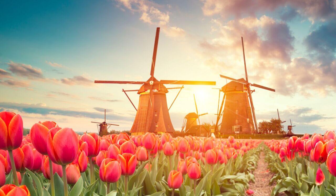 Méditation Matinale Pour Une Journée Sereine