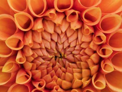 Co-Creating Coherence: A Collective Grounding And Blessing