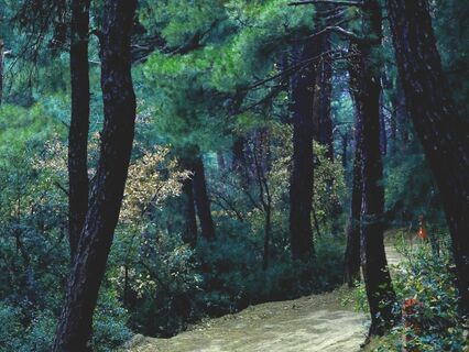 Know Your Intuition - by Lyndsey Schneider