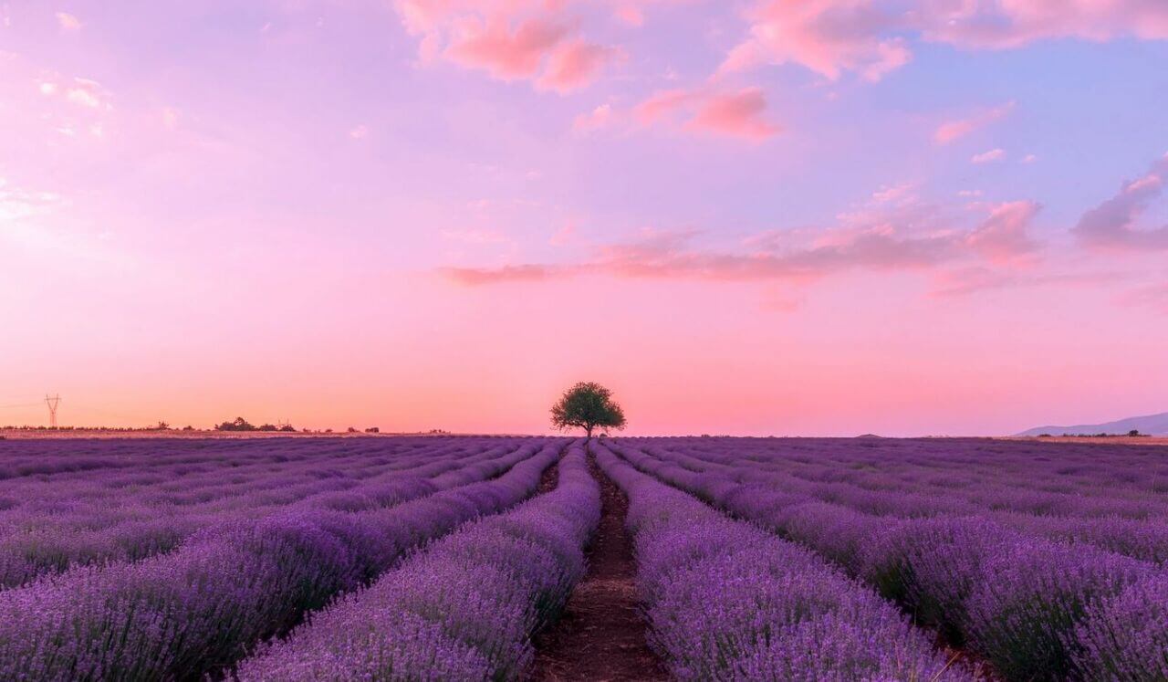 Méditation Matinale Pour Bien Commencer La Journée