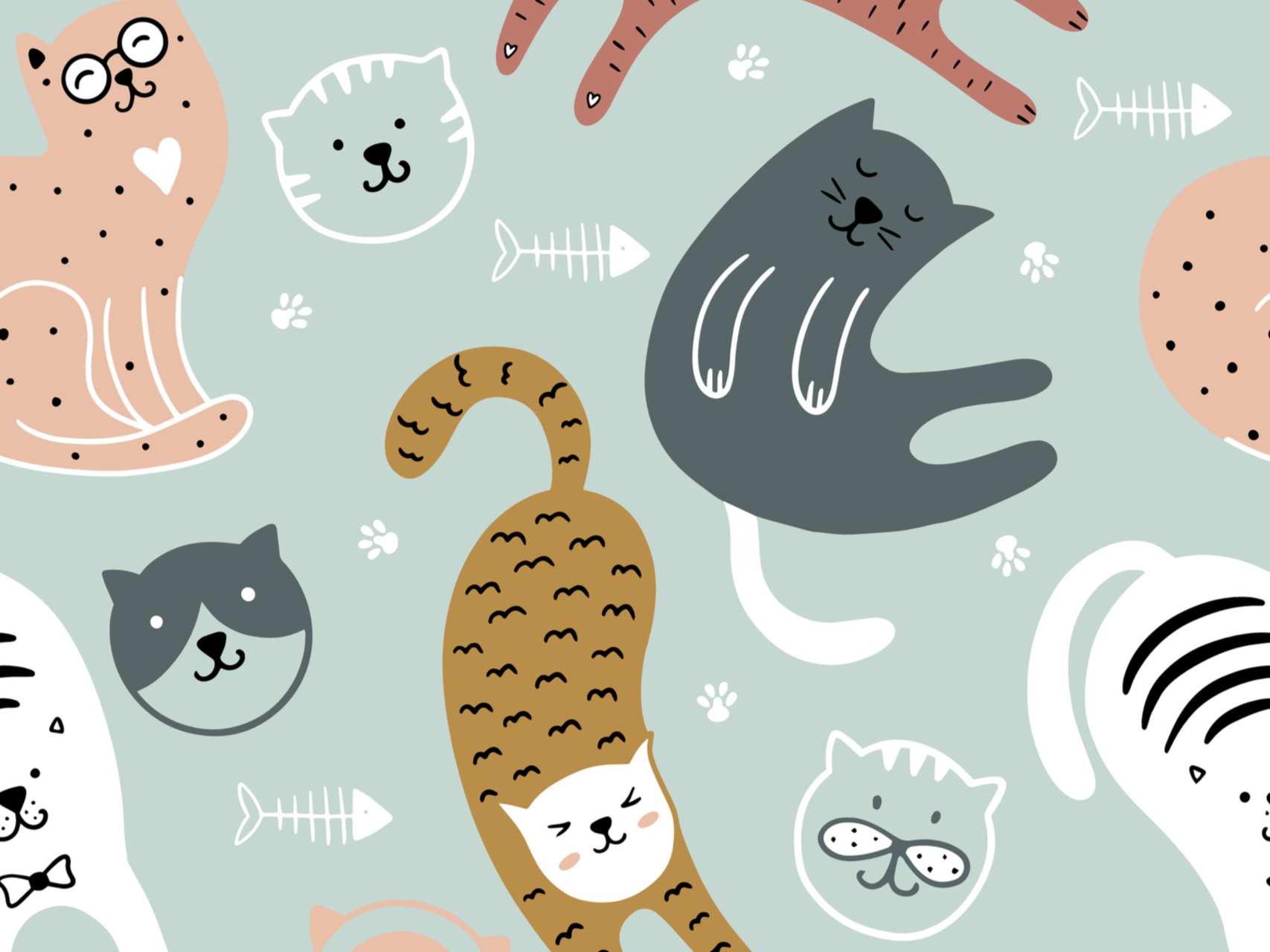 Heidi, Cherry & Vaya: Silent Retreat 