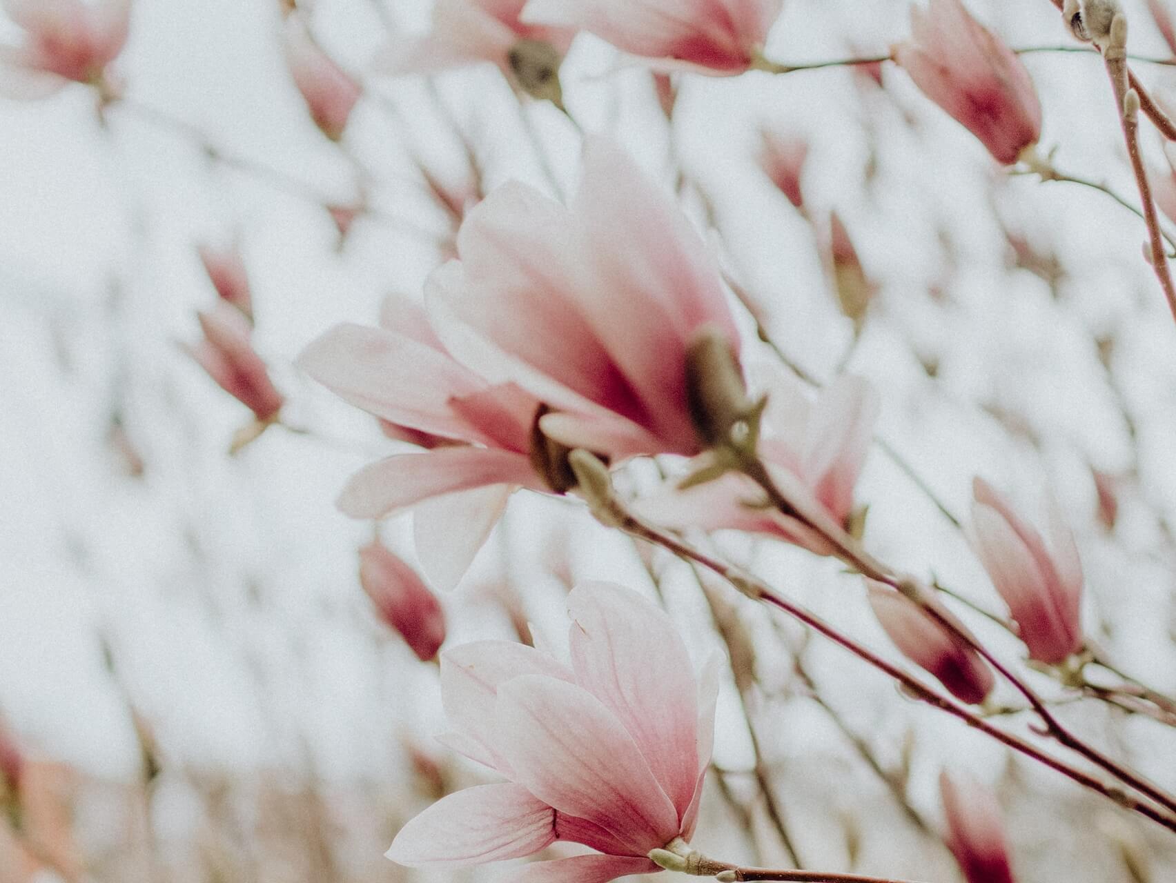 Confidence Affirmation Boost