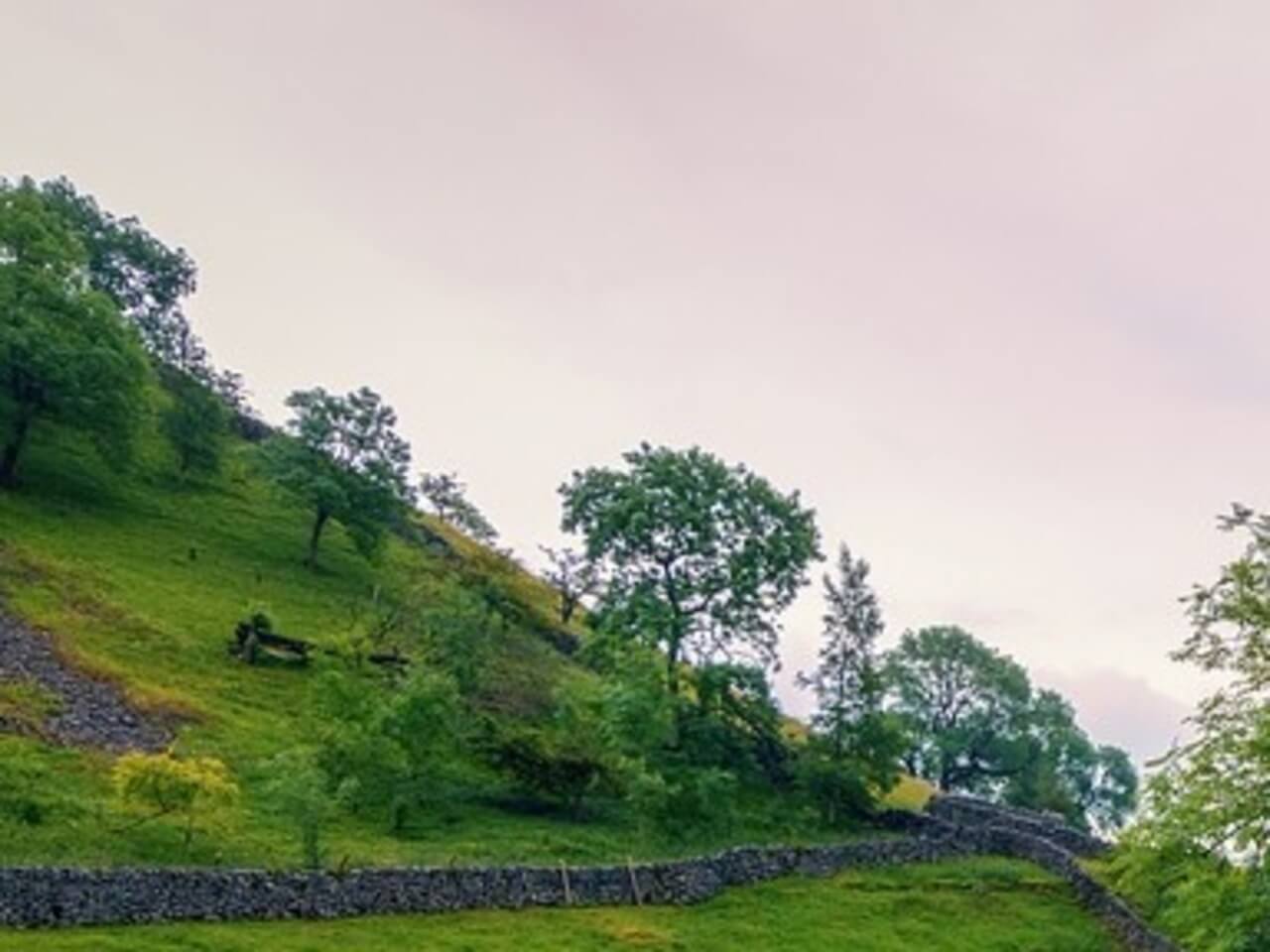 Root Chakra Rebirthing And Deep Grounding