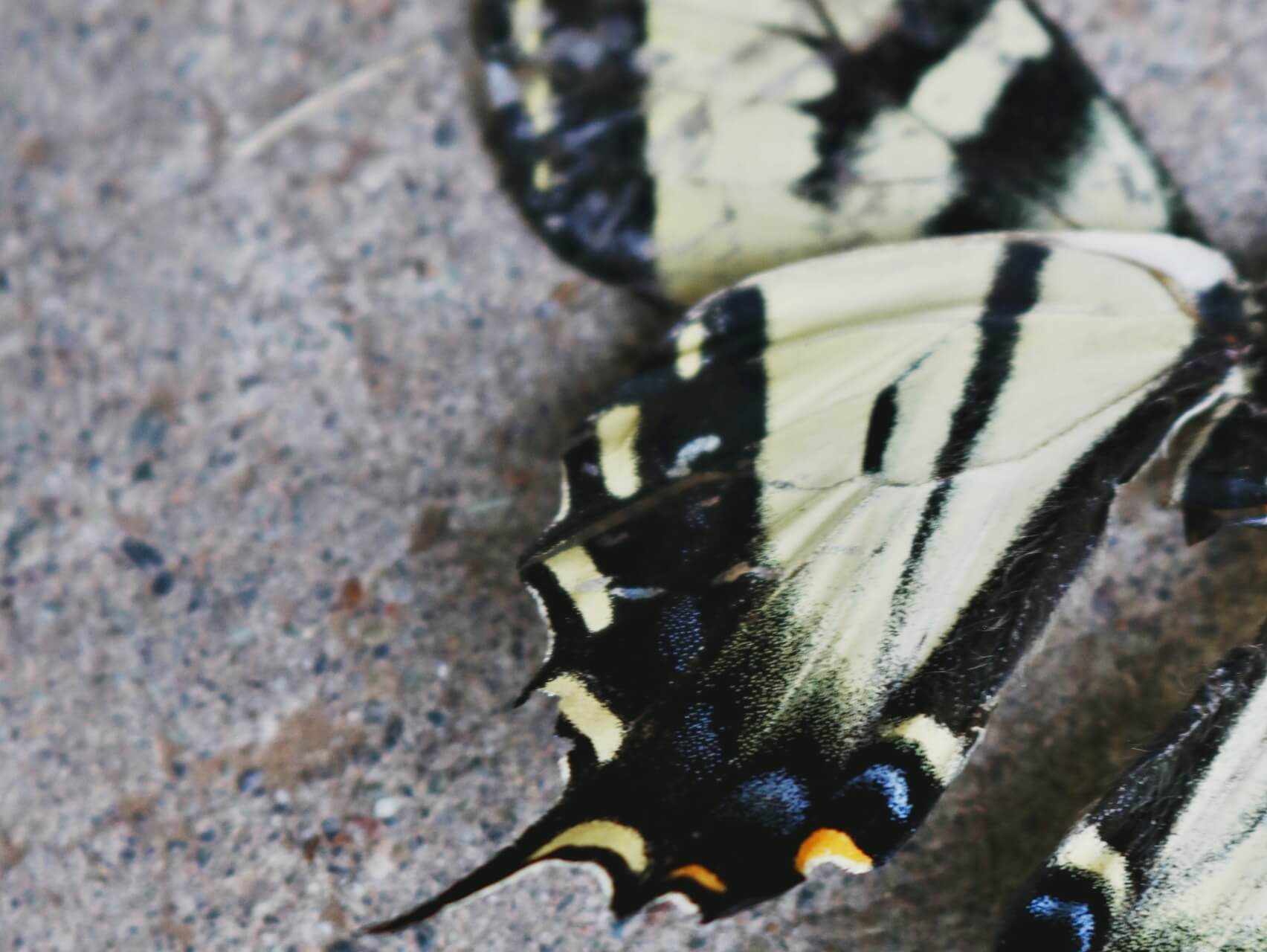 Meditation For Anxiety & Resentment