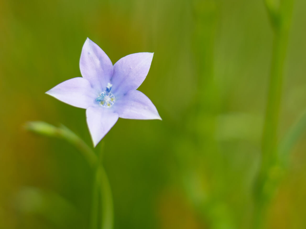 Guided Practice For Releasing Worry And Stress