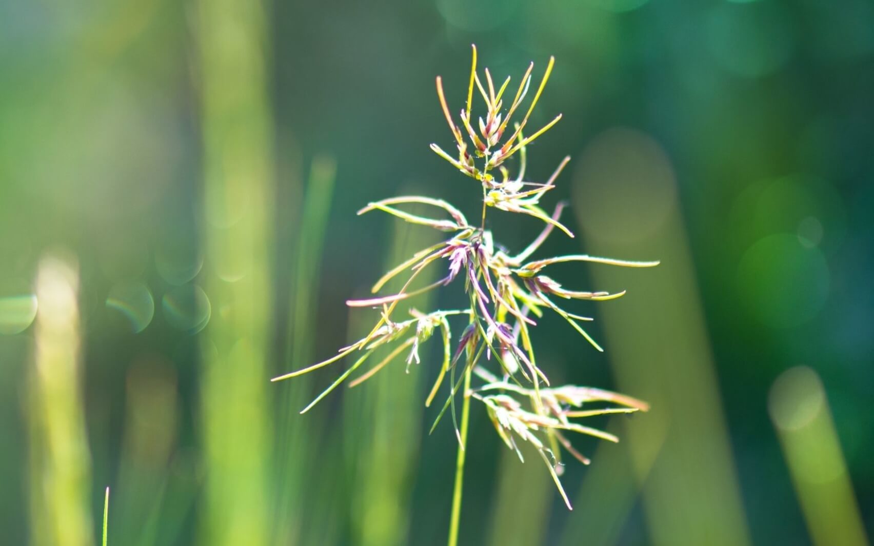 Living Outside Facts Creates Overwhelm