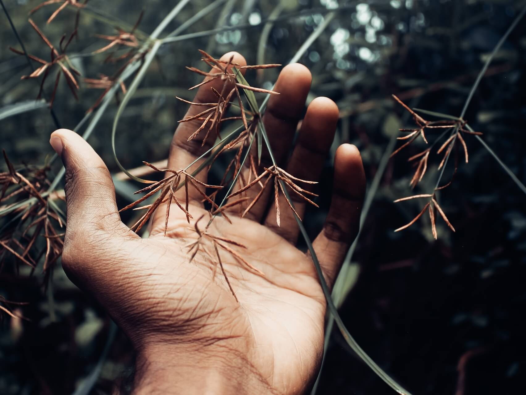 Affirmations For When You Feel Hopeless