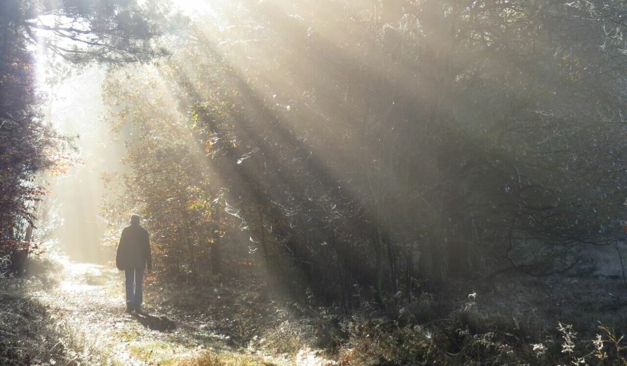 An Introduction To IFS And Partswork