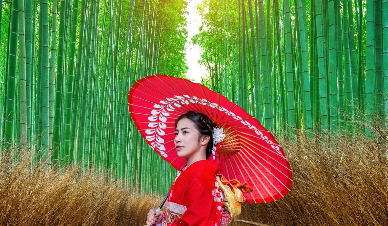 Cultiver Confiance Et Lâcher Prise | Komorebi