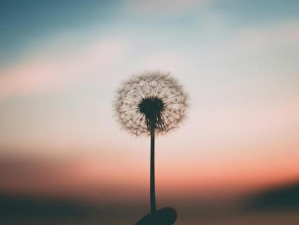 Find Stillness Amidst Movement With Healing Harp (415 Hz)