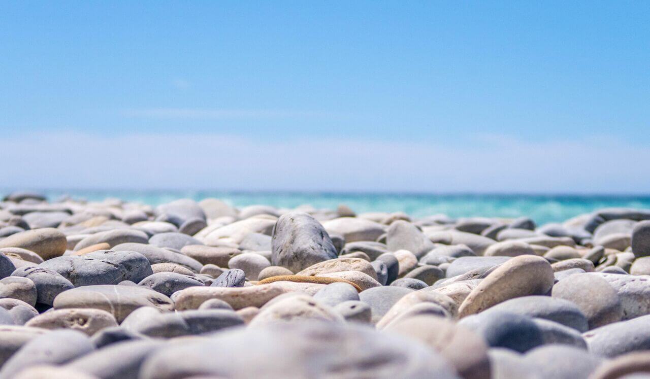 Flight Fight Freeze Fawn Survival Responses