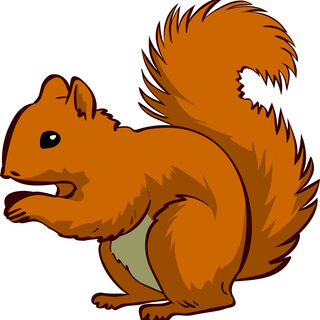 red squirrel cartoon
