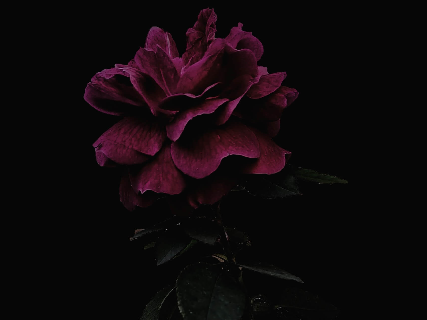 Evening Affirmations For Self-Worth