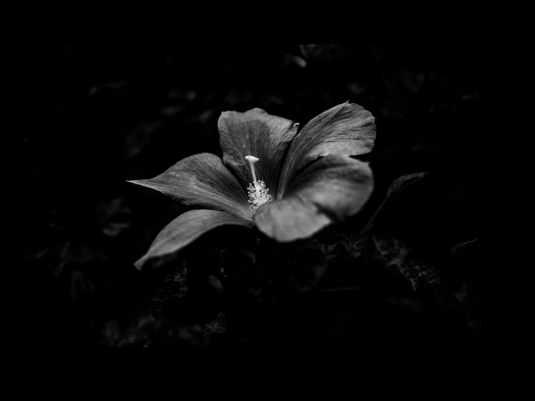 Cosmic Dreams: Relaxing Sounds For Deep Sleep