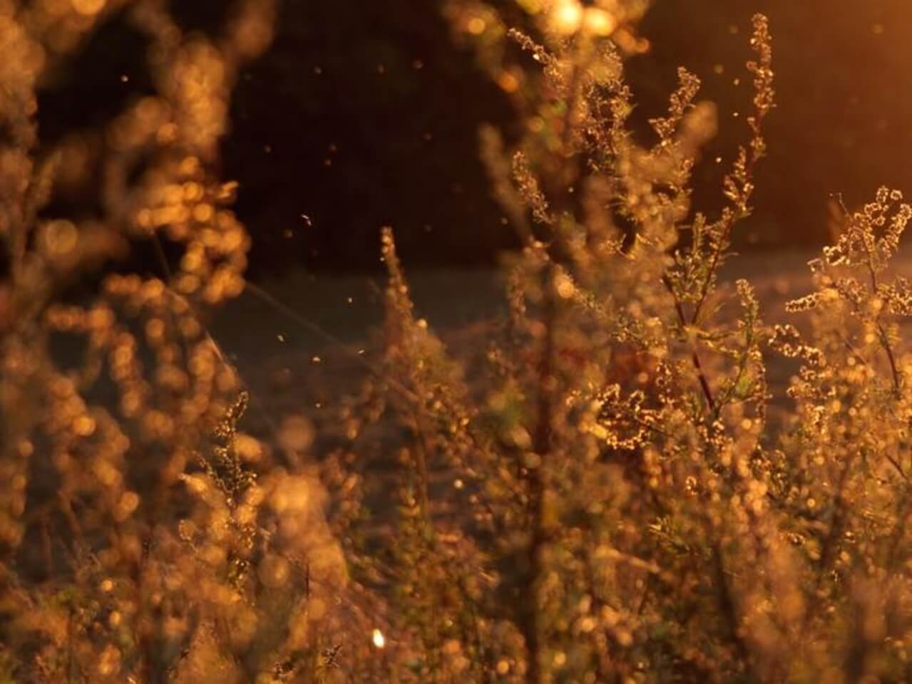 Self Love And The Positive Inner Self