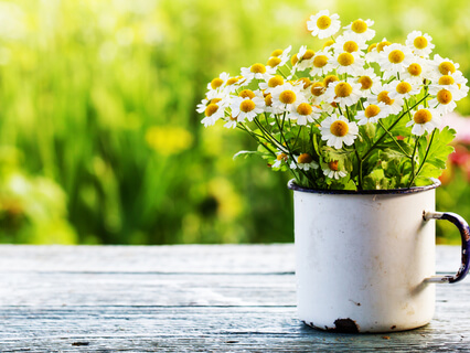 Cultivating Gratitude With Thoughts