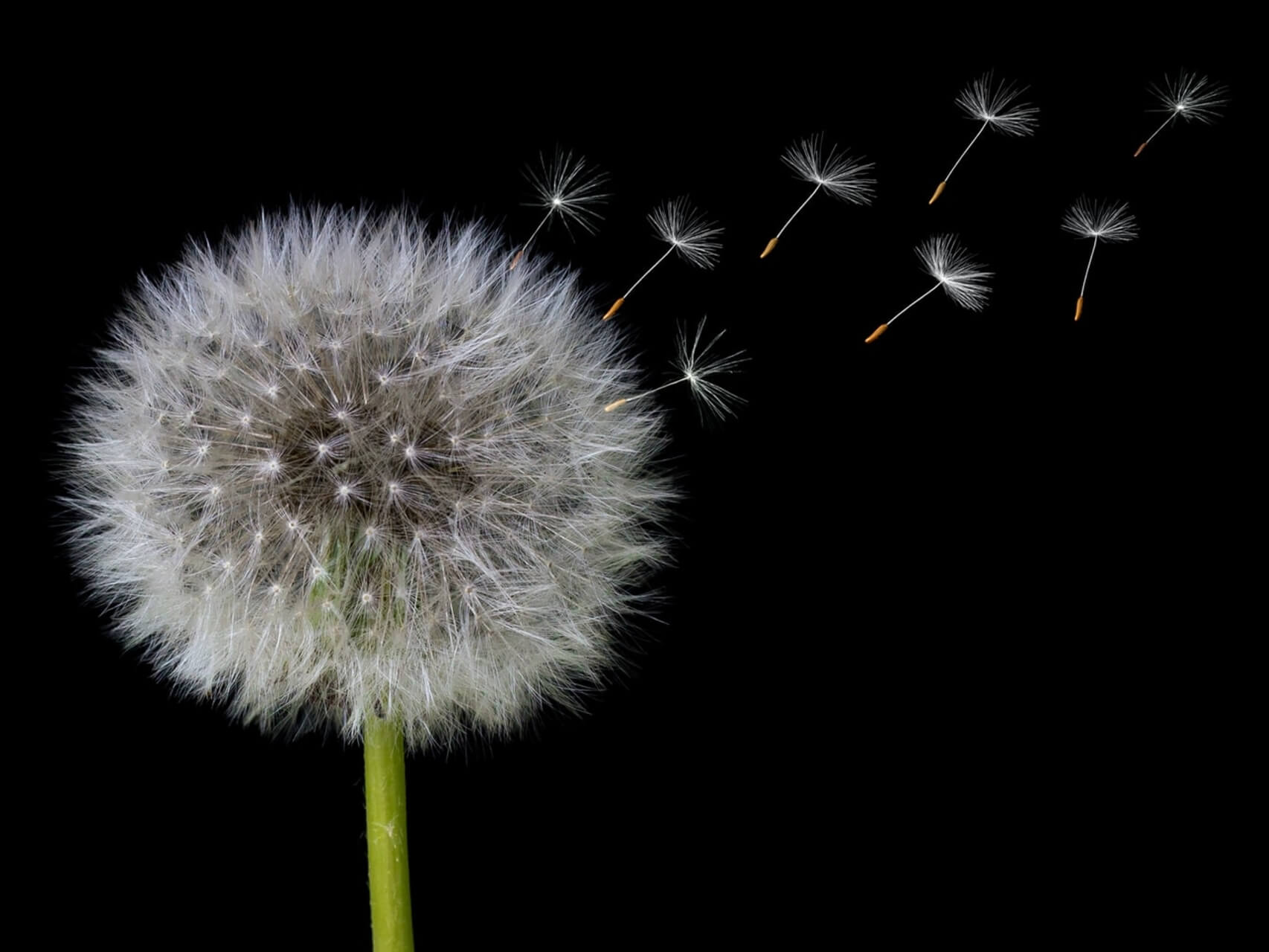 Getting Unstuck: Pendulation Practice