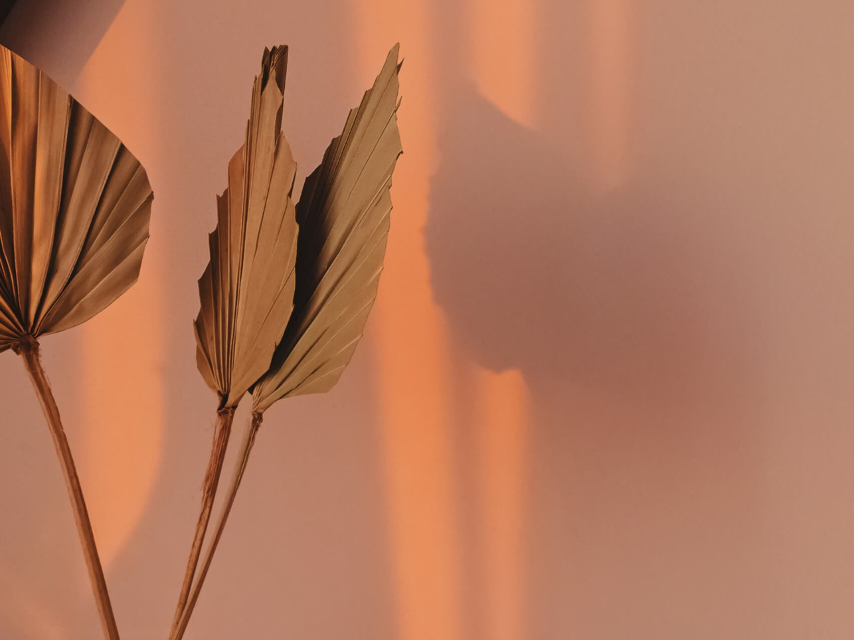 When You've Gone To Worst Case Scenario