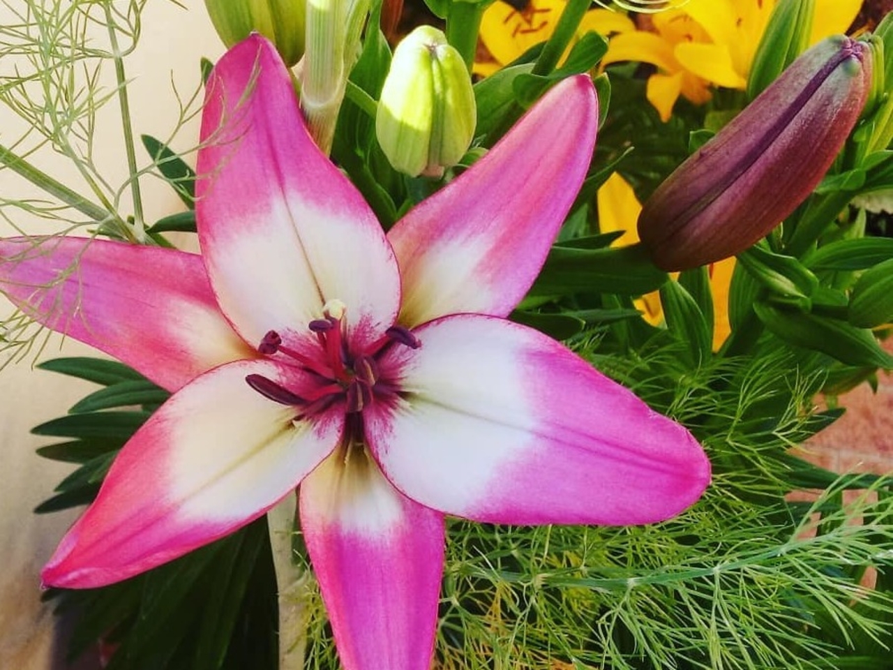 Auto-Aceitação com Reiki