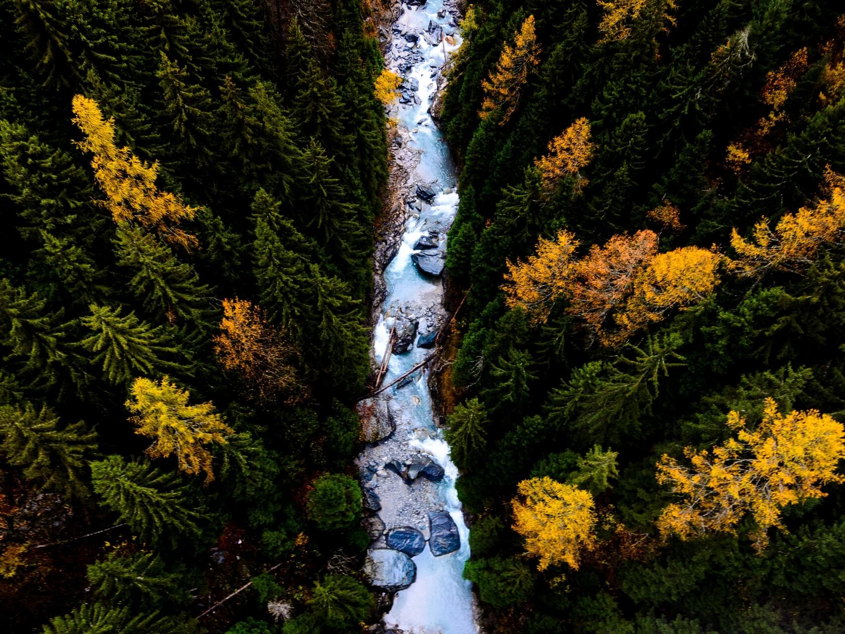 Flowing Through A River 