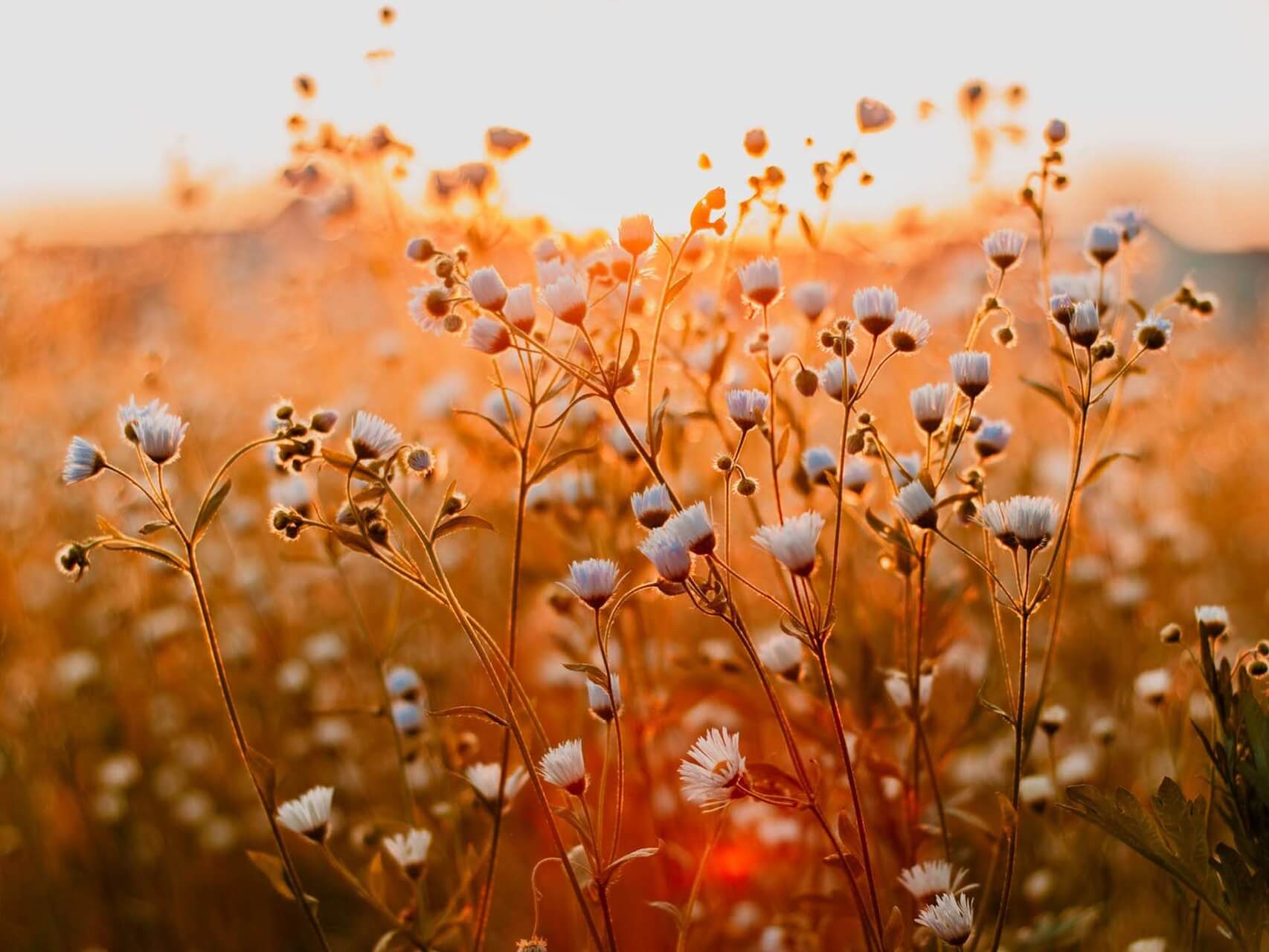 Positive Morning Energy Flow