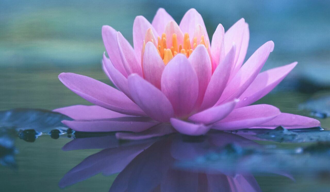 Return To Sleep Once More