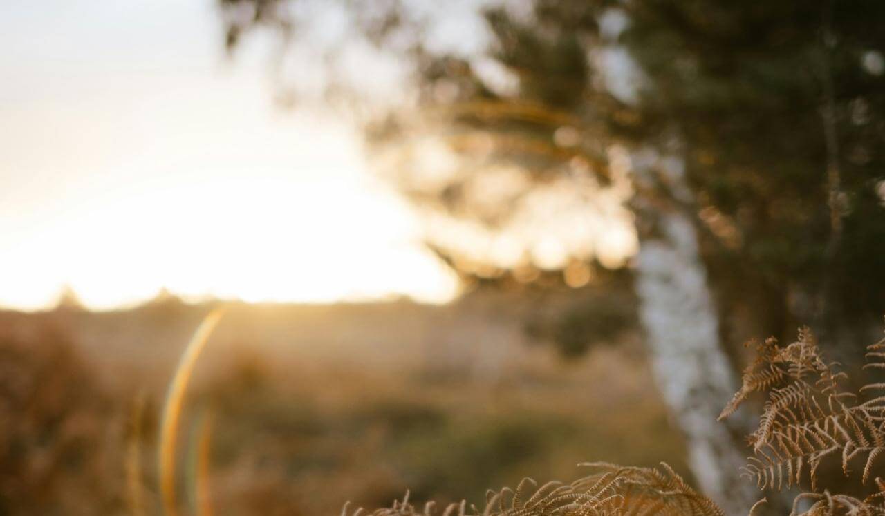 Awakening Within: A Journey of Self-Exploration