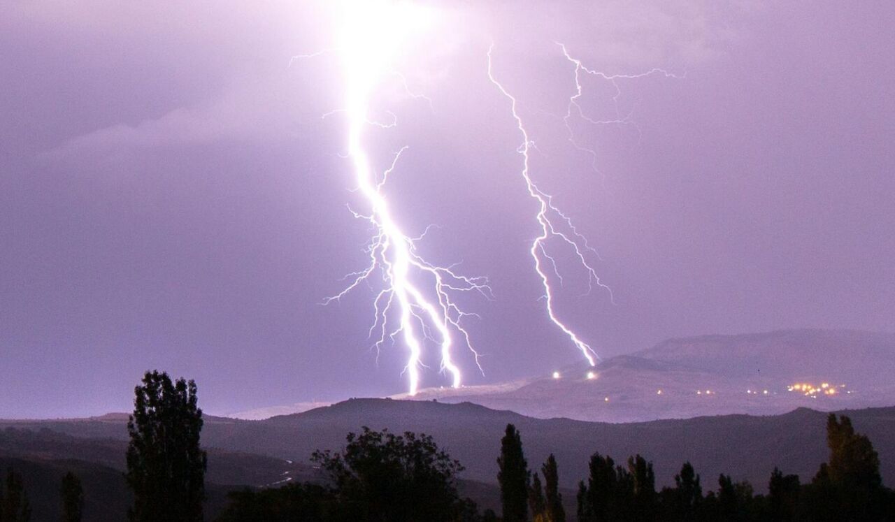 Release Trauma Signals - Disgust