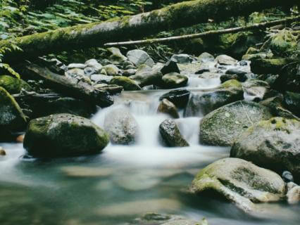 Wild Creekside Dreams — 8.5 Hours of Delta Wave Sleep