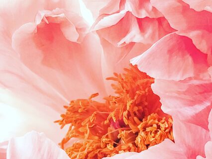 Invisible To Invincible - by Suzanne Longstreet