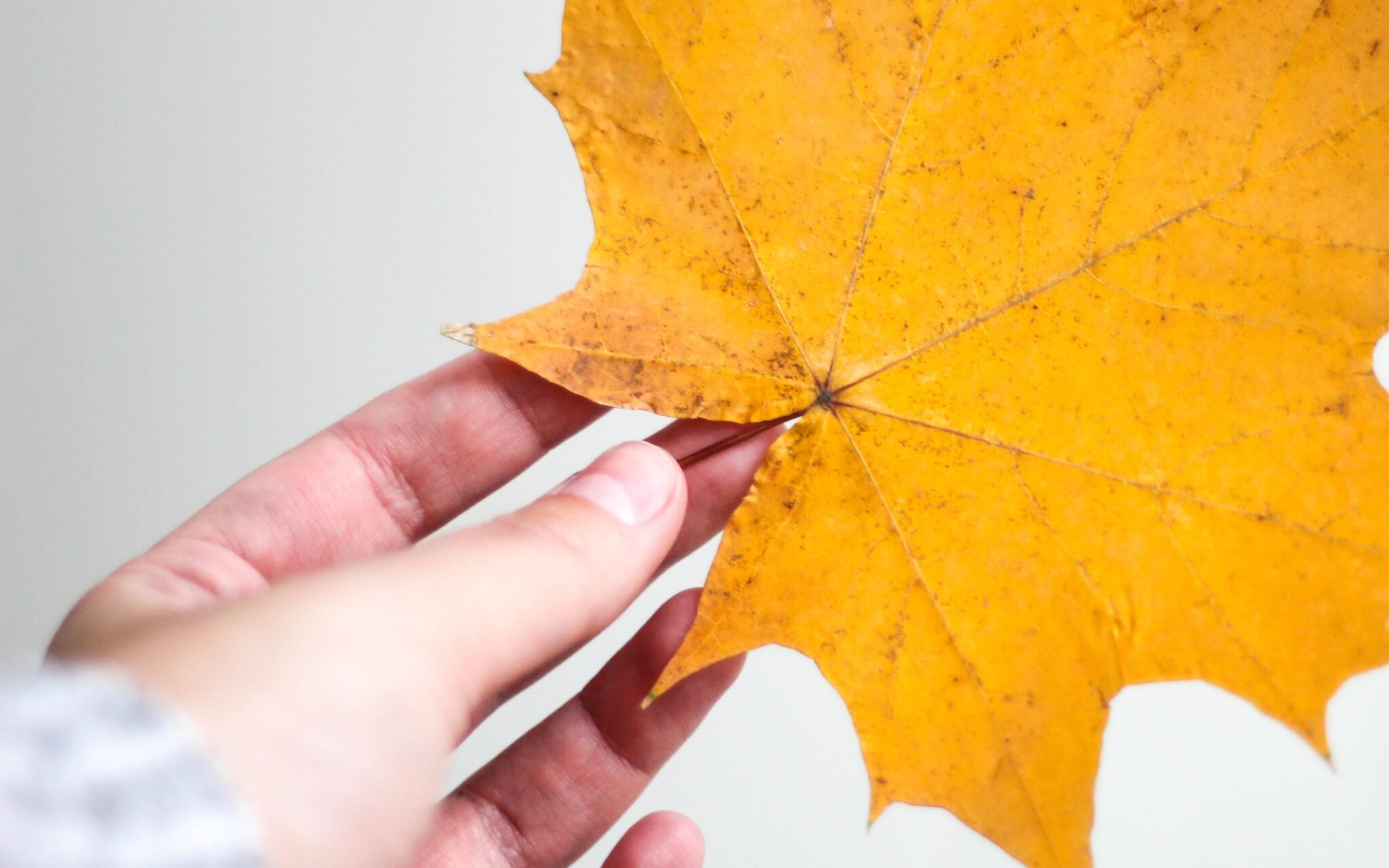 ACT Metaphor: Hands As Thoughts