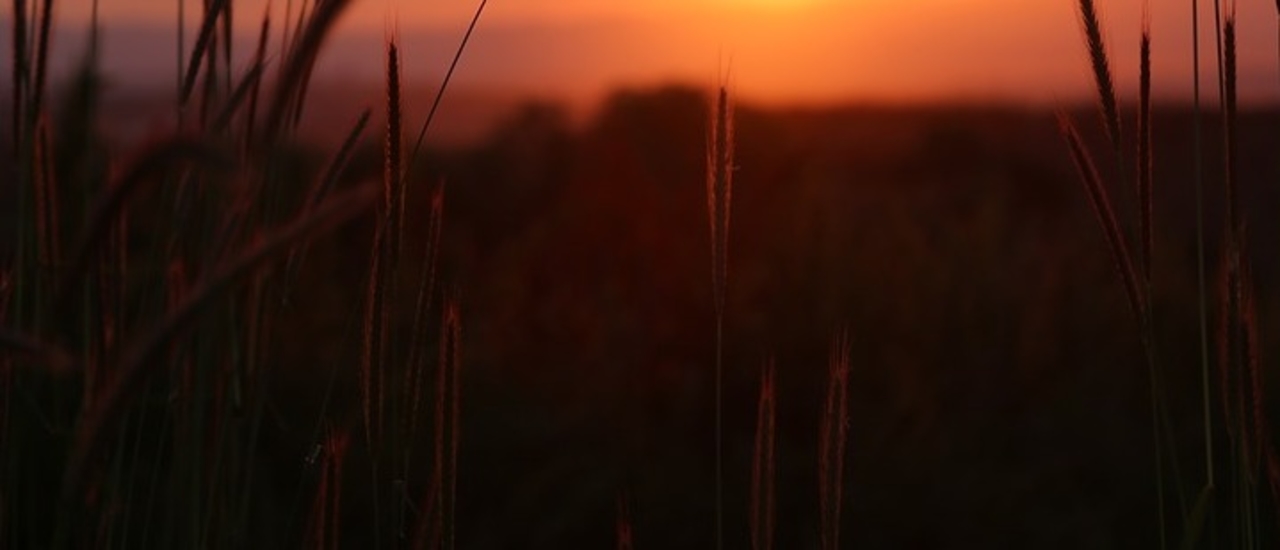 Liefdevolle vriendelijkheid meditaite (visualisatie)