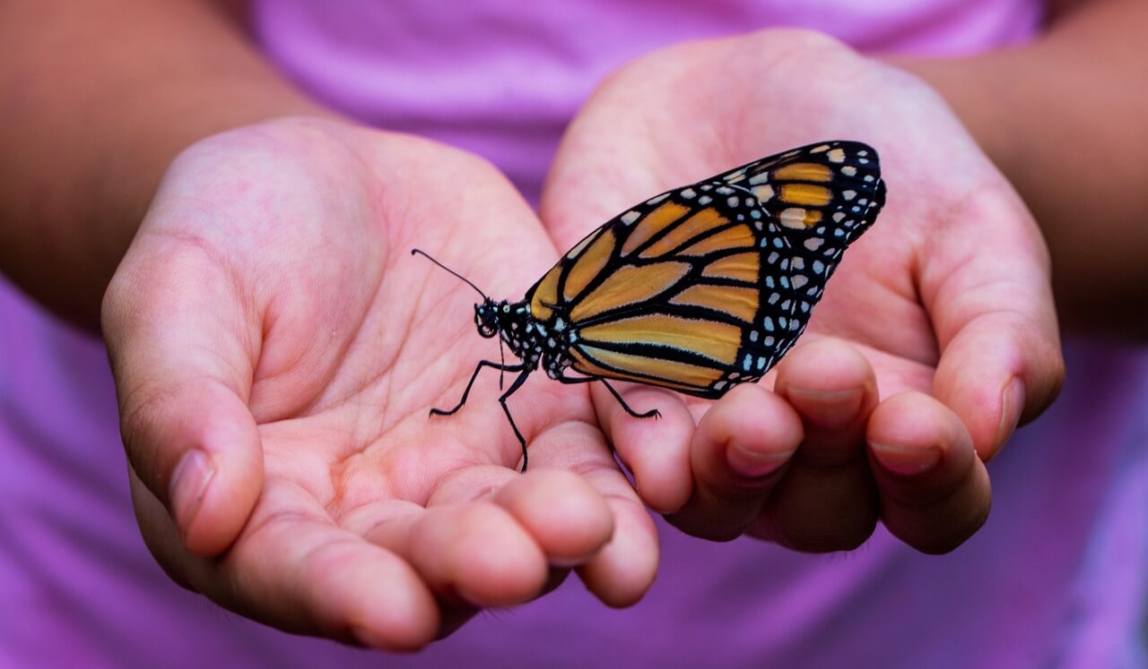 IFS Yoga Nidra For Child Parts