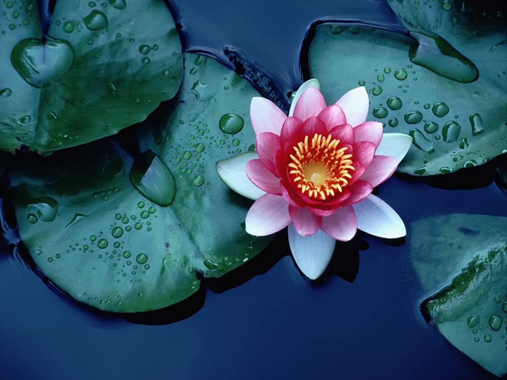 Ra Ma Da Sa (Healing Mantra)